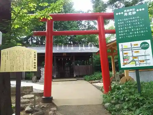 武州与野天祖神社の鳥居