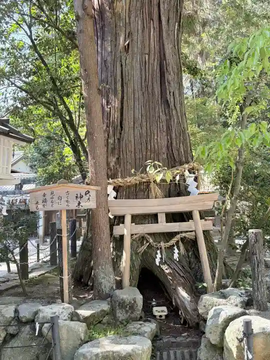 大村神社の{uncategorized: "未分類", other: "その他", undefined: "問題あり", building: "その他建物", grave: "お墓", sacred_gate: "鳥居", guardian: "狛犬", statue: "像", buddha: "仏像", history: "歴史", nature: "自然", garden: "庭園", animal: "動物", pagoda: "塔", temizu: "手水舎", mountain_gate: "山門・神門", sanctuary: "本殿・本堂", subordinate: "末社・摂社", art: "芸術", scenery: "景色", jizo: "地蔵", ema: "絵馬", goshuin: "御朱印", omikuji: "おみくじ", items: "授与品その他", amulet: "お守り", goshuincho: "御朱印帳", eats: "食事", festival: "お祭り", votive_dance: "神楽", shichigosan: "七五三参", wedding: "結婚式", experience: "体験その他", initially: "初詣", around: "周辺", anti_infection: "感染症対策"}
