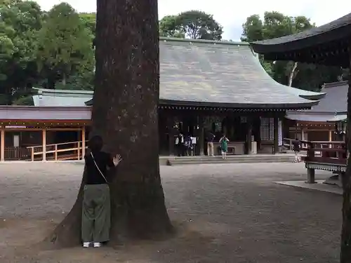 武蔵一宮氷川神社の本殿・本堂