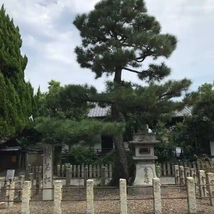 本法寺のその他建物