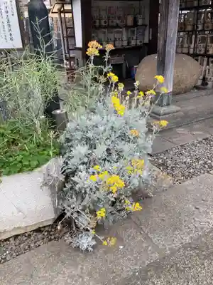 円頓寺(東京都)