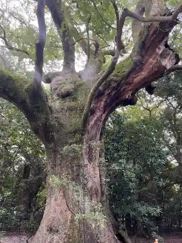 伊勢神宮外宮（豊受大神宮）(三重県)