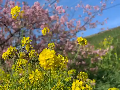 かっぱの寺 栖足寺の自然