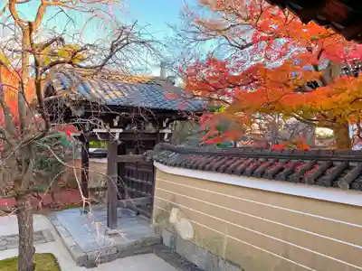 妙顯寺（妙顕寺）(京都府)