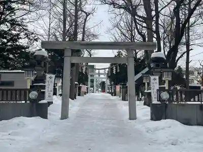 新琴似神社の鳥居