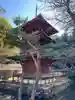 清滝寺徳源院(滋賀県)