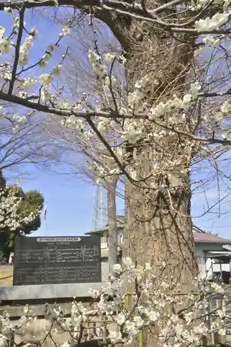 相模原氷川神社(神奈川県)