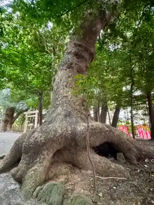 船江上社(三重県)