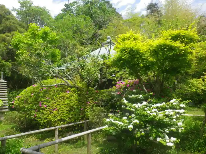 浄光明寺の庭園