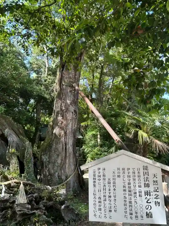 大山祇神社(愛媛県)