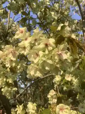 遍照院(愛知県)