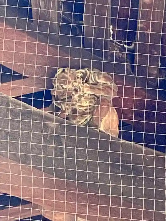 東寺(教王護国寺)(京都府)