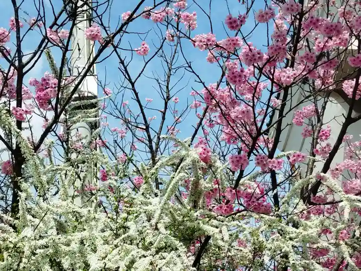 豊中不動寺(豊中不動尊)(大阪府)
