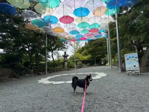 宝徳寺の{uncategorized: "未分類", other: "その他", undefined: "問題あり", building: "その他建物", grave: "お墓", sacred_gate: "鳥居", guardian: "狛犬", statue: "像", buddha: "仏像", history: "歴史", nature: "自然", garden: "庭園", animal: "動物", pagoda: "塔", temizu: "手水舎", mountain_gate: "山門・神門", sanctuary: "本殿・本堂", subordinate: "末社・摂社", art: "芸術", scenery: "景色", jizo: "地蔵", ema: "絵馬", goshuin: "御朱印", omikuji: "おみくじ", items: "授与品その他", amulet: "お守り", goshuincho: "御朱印帳", eats: "食事", festival: "お祭り", votive_dance: "神楽", shichigosan: "七五三参", wedding: "結婚式", experience: "体験その他", initially: "初詣", around: "周辺", anti_infection: "感染症対策"}