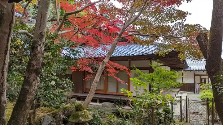 勝持寺(花の寺)(京都府)