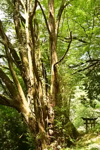 三島神社(愛媛県)