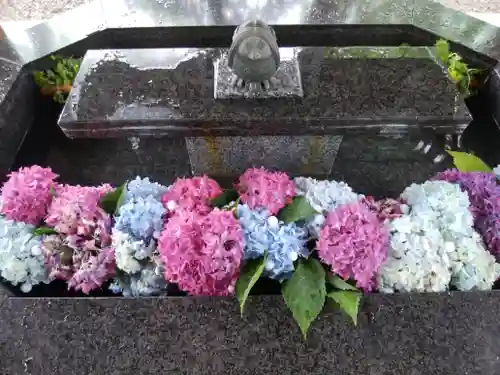 新琴似神社の手水舎