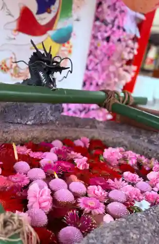 別小江神社の{uncategorized: "未分類", other: "その他", undefined: "問題あり", building: "その他建物", grave: "お墓", sacred_gate: "鳥居", guardian: "狛犬", statue: "像", buddha: "仏像", history: "歴史", nature: "自然", garden: "庭園", animal: "動物", pagoda: "塔", temizu: "手水舎", mountain_gate: "山門・神門", sanctuary: "本殿・本堂", subordinate: "末社・摂社", art: "芸術", scenery: "景色", jizo: "地蔵", ema: "絵馬", goshuin: "御朱印", omikuji: "おみくじ", items: "授与品その他", amulet: "お守り", goshuincho: "御朱印帳", eats: "食事", festival: "お祭り", votive_dance: "神楽", shichigosan: "七五三参", wedding: "結婚式", experience: "体験その他", initially: "初詣", around: "周辺", anti_infection: "感染症対策"}