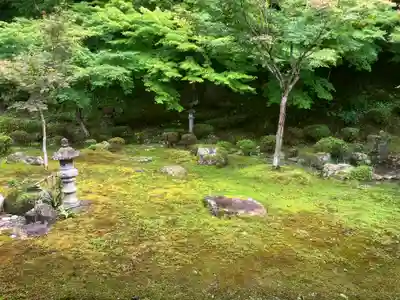 常高寺(福井県)