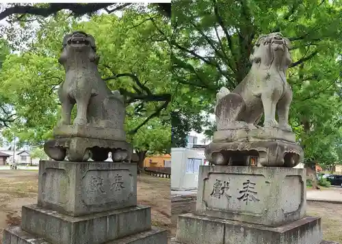 諏訪神社の狛犬