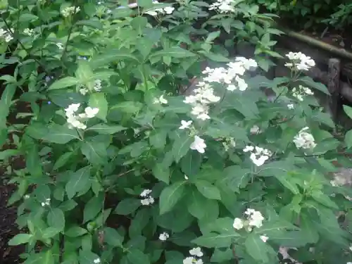御霊神社の自然