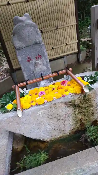 田間神社の{uncategorized: "未分類", other: "その他", undefined: "問題あり", building: "その他建物", grave: "お墓", sacred_gate: "鳥居", guardian: "狛犬", statue: "像", buddha: "仏像", history: "歴史", nature: "自然", garden: "庭園", animal: "動物", pagoda: "塔", temizu: "手水舎", mountain_gate: "山門・神門", sanctuary: "本殿・本堂", subordinate: "末社・摂社", art: "芸術", scenery: "景色", jizo: "地蔵", ema: "絵馬", goshuin: "御朱印", omikuji: "おみくじ", items: "授与品その他", amulet: "お守り", goshuincho: "御朱印帳", eats: "食事", festival: "お祭り", votive_dance: "神楽", shichigosan: "七五三参", wedding: "結婚式", experience: "体験その他", initially: "初詣", around: "周辺", anti_infection: "感染症対策"}
