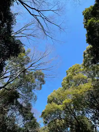 明治神宮(東京都)