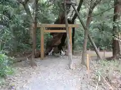 月夜見宮（豊受大神宮別宮）の鳥居