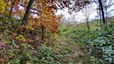 沼崎神社の周辺