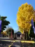 幸宮神社(埼玉県)