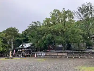 闘鶏神社(和歌山県)