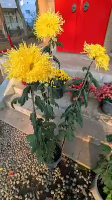 前原御嶽神社の自然