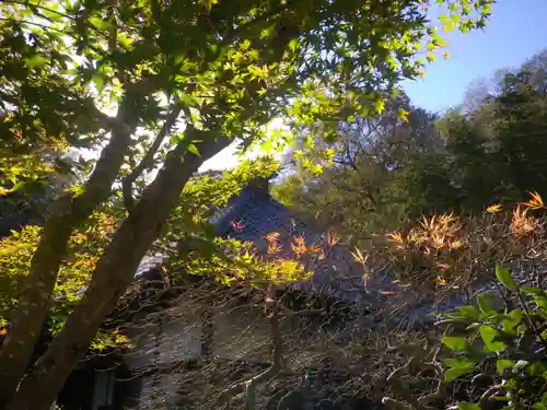 光則寺の自然