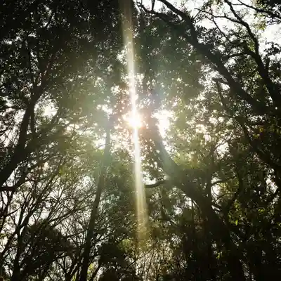 稲荷神社の自然