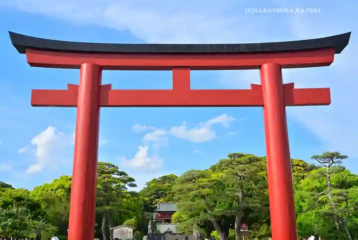 鶴岡八幡宮(神奈川県)