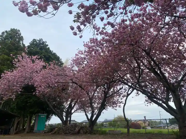 台渡里八幡神社の{uncategorized: "未分類", other: "その他", undefined: "問題あり", building: "その他建物", grave: "お墓", sacred_gate: "鳥居", guardian: "狛犬", statue: "像", buddha: "仏像", history: "歴史", nature: "自然", garden: "庭園", animal: "動物", pagoda: "塔", temizu: "手水舎", mountain_gate: "山門・神門", sanctuary: "本殿・本堂", subordinate: "末社・摂社", art: "芸術", scenery: "景色", jizo: "地蔵", ema: "絵馬", goshuin: "御朱印", omikuji: "おみくじ", items: "授与品その他", amulet: "お守り", goshuincho: "御朱印帳", eats: "食事", festival: "お祭り", votive_dance: "神楽", shichigosan: "七五三参", wedding: "結婚式", experience: "体験その他", initially: "初詣", around: "周辺", anti_infection: "感染症対策"}