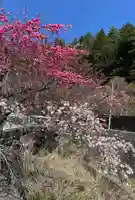 国福大神社(山梨県)