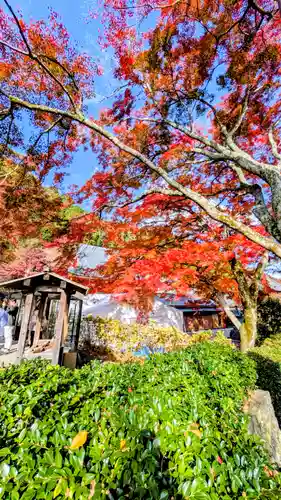 勝尾寺(大阪府)