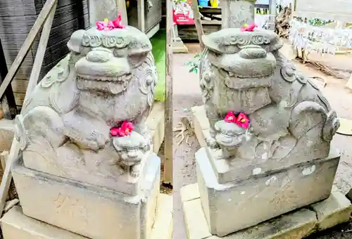 高津比咩神社の狛犬