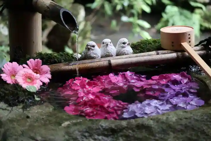 柳谷観音 楊谷寺の手水舎