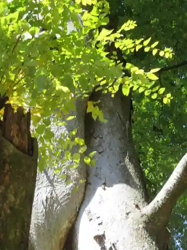 手長神社(長野県)