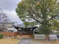 藥師寺の自然