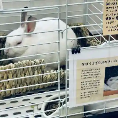 出雲大社埼玉分院(埼玉県)