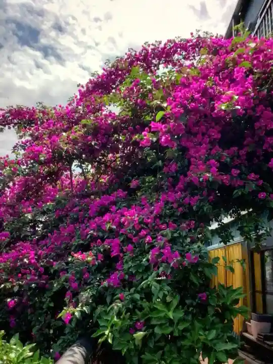 本郷氷川神社(東京都)