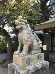 青山熊野神社の狛犬