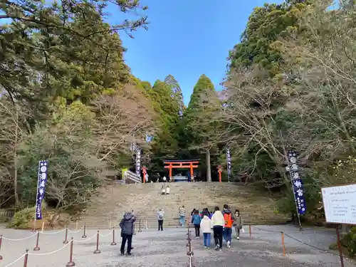 霧島神宮(鹿児島県)