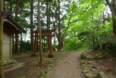 大山阿夫利神社本社(神奈川県)