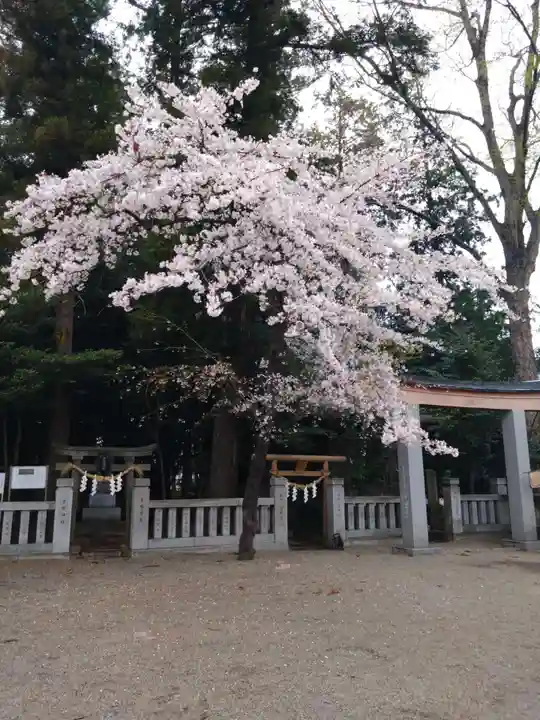 今宮神社(栃木県)