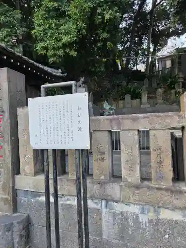 瀧泉寺（目黒不動尊）の{uncategorized: "未分類", other: "その他", undefined: "問題あり", building: "その他建物", grave: "お墓", sacred_gate: "鳥居", guardian: "狛犬", statue: "像", buddha: "仏像", history: "歴史", nature: "自然", garden: "庭園", animal: "動物", pagoda: "塔", temizu: "手水舎", mountain_gate: "山門・神門", sanctuary: "本殿・本堂", subordinate: "末社・摂社", art: "芸術", scenery: "景色", jizo: "地蔵", ema: "絵馬", goshuin: "御朱印", omikuji: "おみくじ", items: "授与品その他", amulet: "お守り", goshuincho: "御朱印帳", eats: "食事", festival: "お祭り", votive_dance: "神楽", shichigosan: "七五三参", wedding: "結婚式", experience: "体験その他", initially: "初詣", around: "周辺", anti_infection: "感染症対策"}