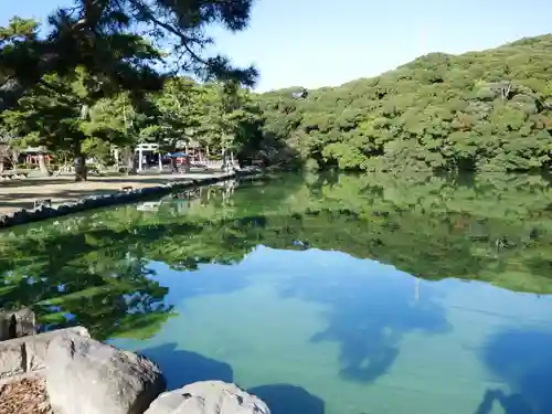 桜ヶ池池宮神社の自然